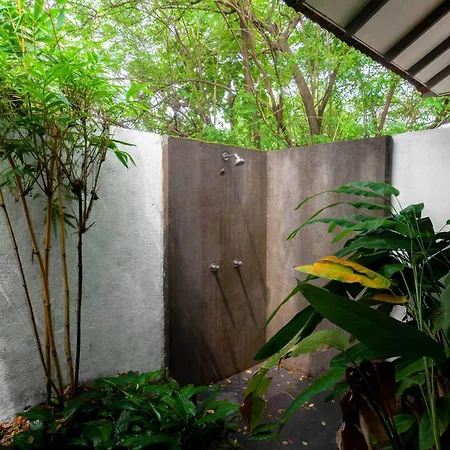 Wander Beyond By Stayvista - Featuring A Bali-Themed Abode And A Refreshing Swimming Pool-3
